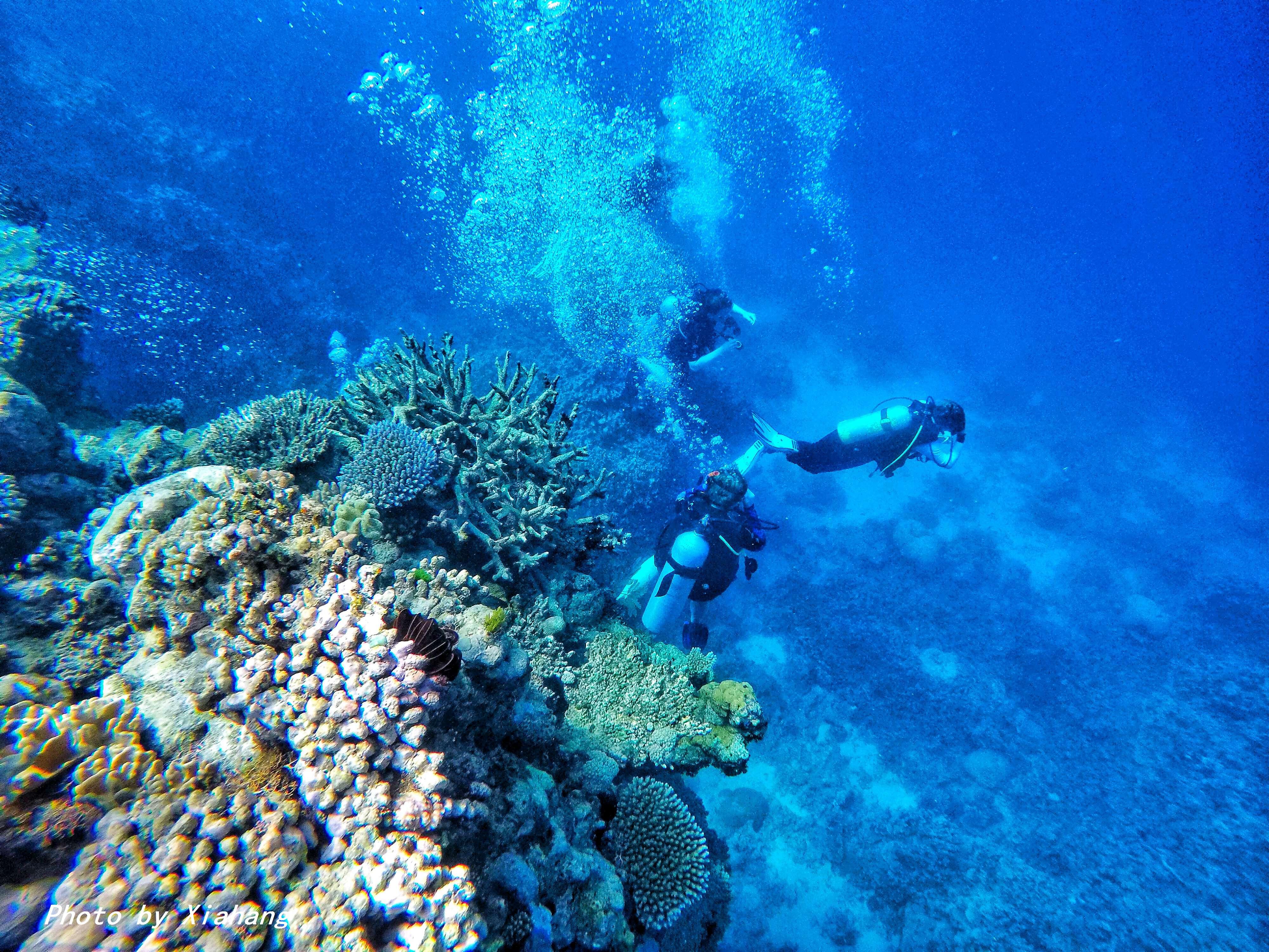 澳大利亚凯恩斯大堡礁旅游,澳大利亚凯恩斯大堡礁旅行vlog