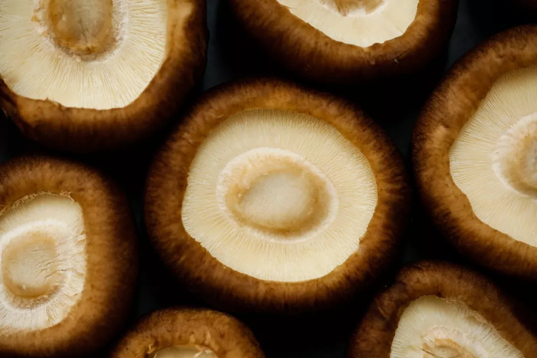 蘑菇那么多，看完你就知道都该怎么吃啦~