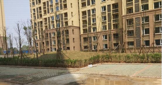 光谷东朗诗里程七期照片,光谷东朗诗里程还值得买吗