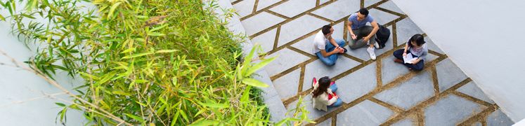 香港高学历港姐冠军,香港女神港姐学历超高