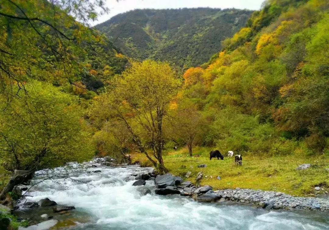 四川秋景第一名,四川欣赏秋景好去处