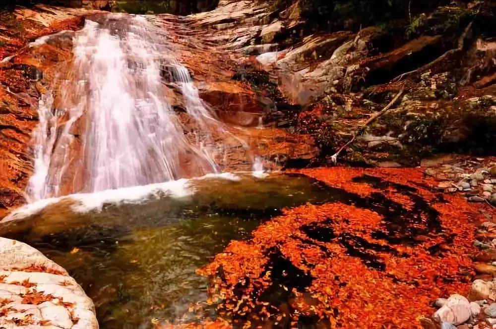 四川秋景第一名,四川欣赏秋景好去处