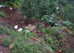 瑗挎簮姹囩殑鍒涗笟椤圭洰,瑗挎簮姹囧垱涓氬ソ椤圭洰