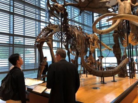 在美国“第一磁校”艾威达高中读夏校，是一种怎样的体验？