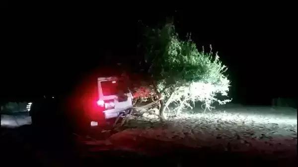 骆驼妈妈讲故事,骆驼妈妈完整版