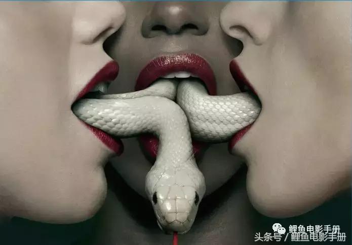 恐怖僵尸吸血鬼电影,恐怖片僵尸吸血鬼