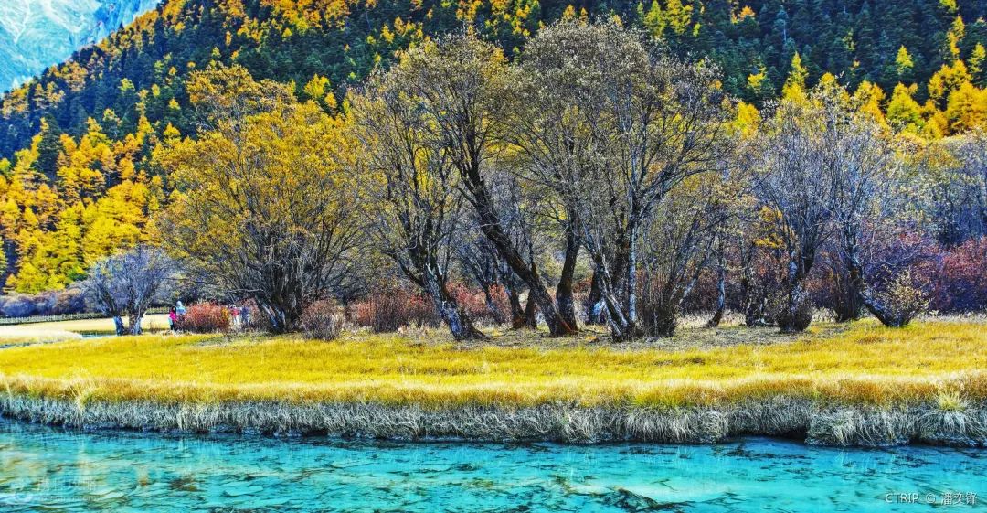 老子不上班请假去稻城,9月不上班了句子