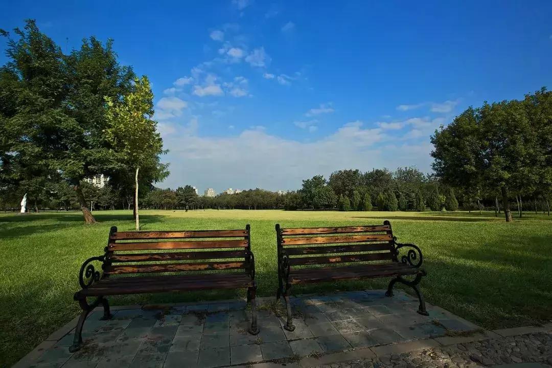 天津3日游必去十个景点免费,天津一日游最佳景点攻略