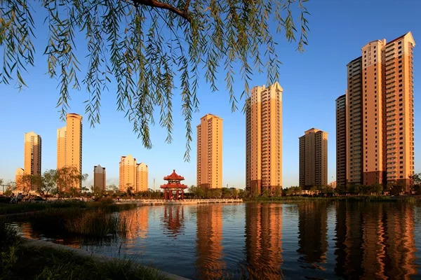 祝贺我市入选全国文明城市,武清区表彰先进个人和集体