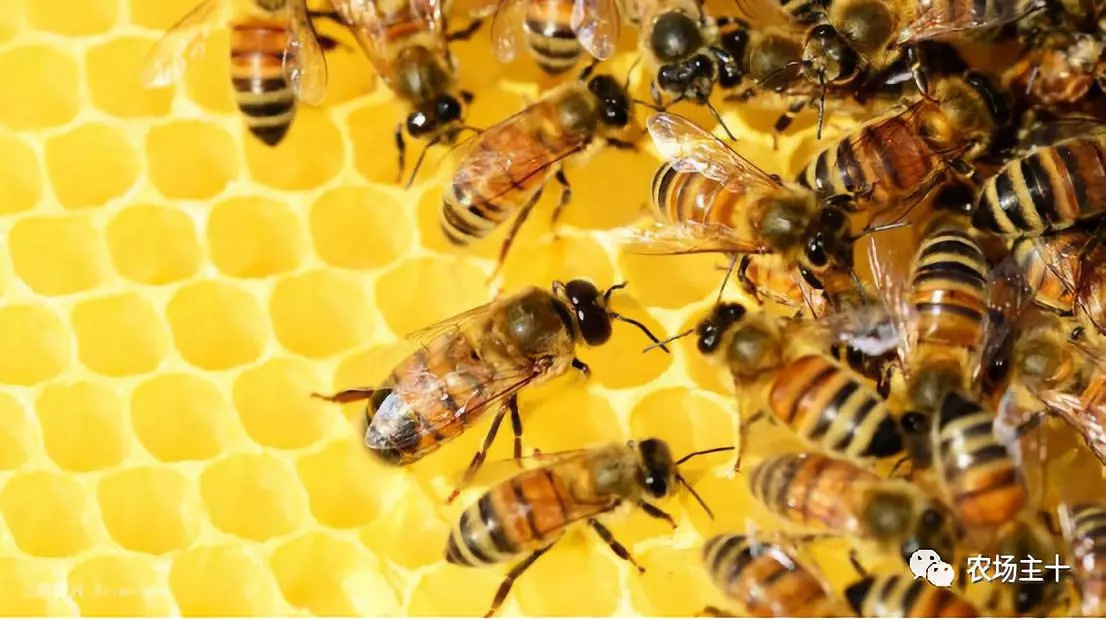 旅游商品如何挖掘,旅游商品的选售有哪些技巧