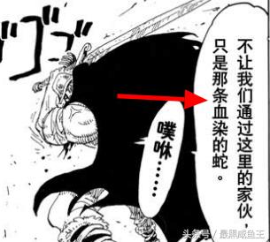 海贼王0-200剧情,海贼王的100个细节