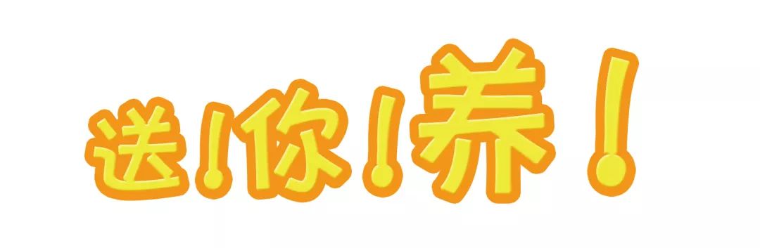 所有人,200株菊花苗,送你养!金菊报秋时,等你来参赛!