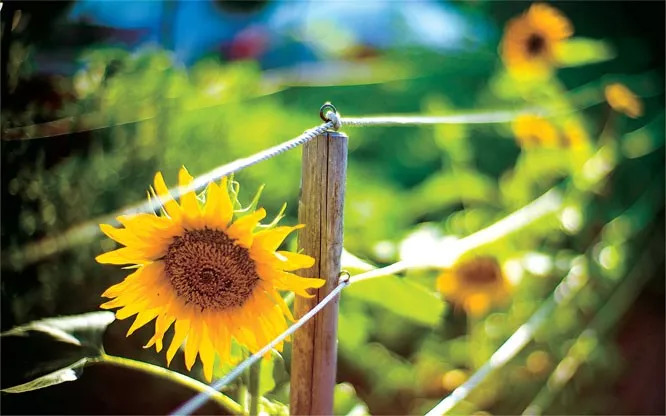 词风雅韵作品,词风雅韵浪淘沙