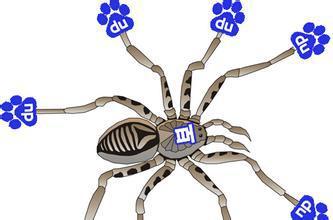 如何正确识别百度蜘蛛Baiduspider,以及真伪检测?