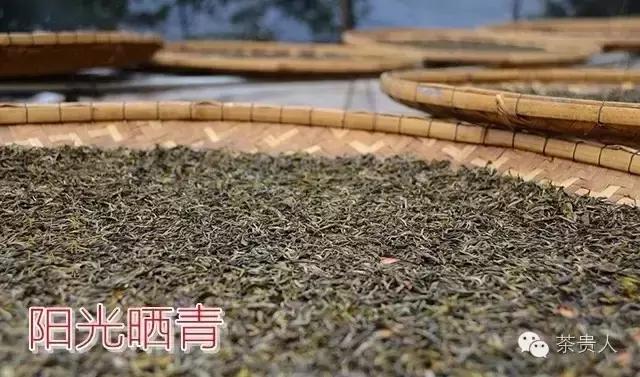 纯手工炒绿茶烘焙工艺,烘焙日照绿茶怎么做的