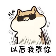 荷兰猪笼子脚垫有什么用,荷兰猪脚垫要多大孔洞