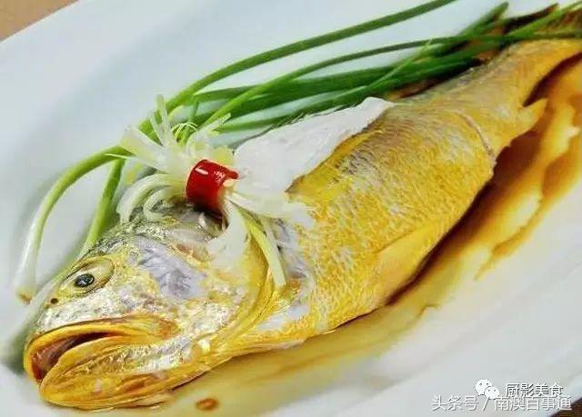 汕头南澳金钱鮸,最贵鮸鱼