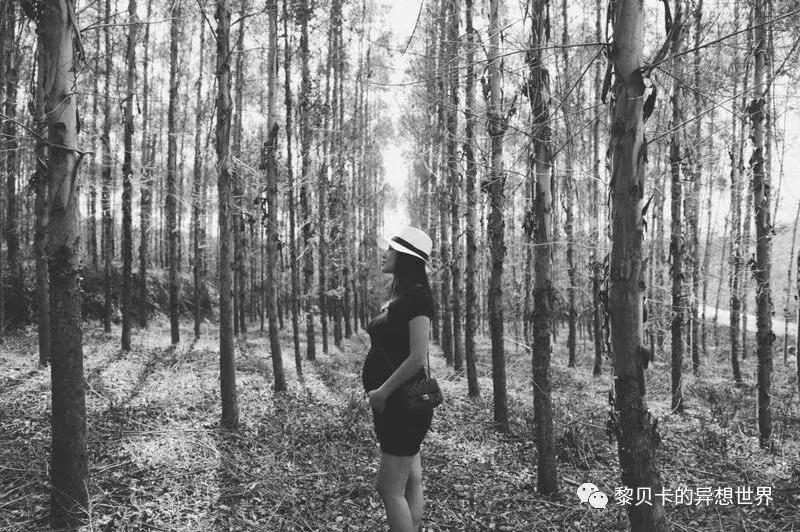 如果这辈子只能选3辆车你选哪3辆,假如这辈子只能买一只包