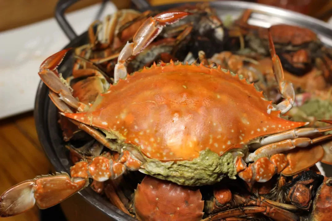 长春好吃的生蚝店推荐,长春88元螃蟹生蚝