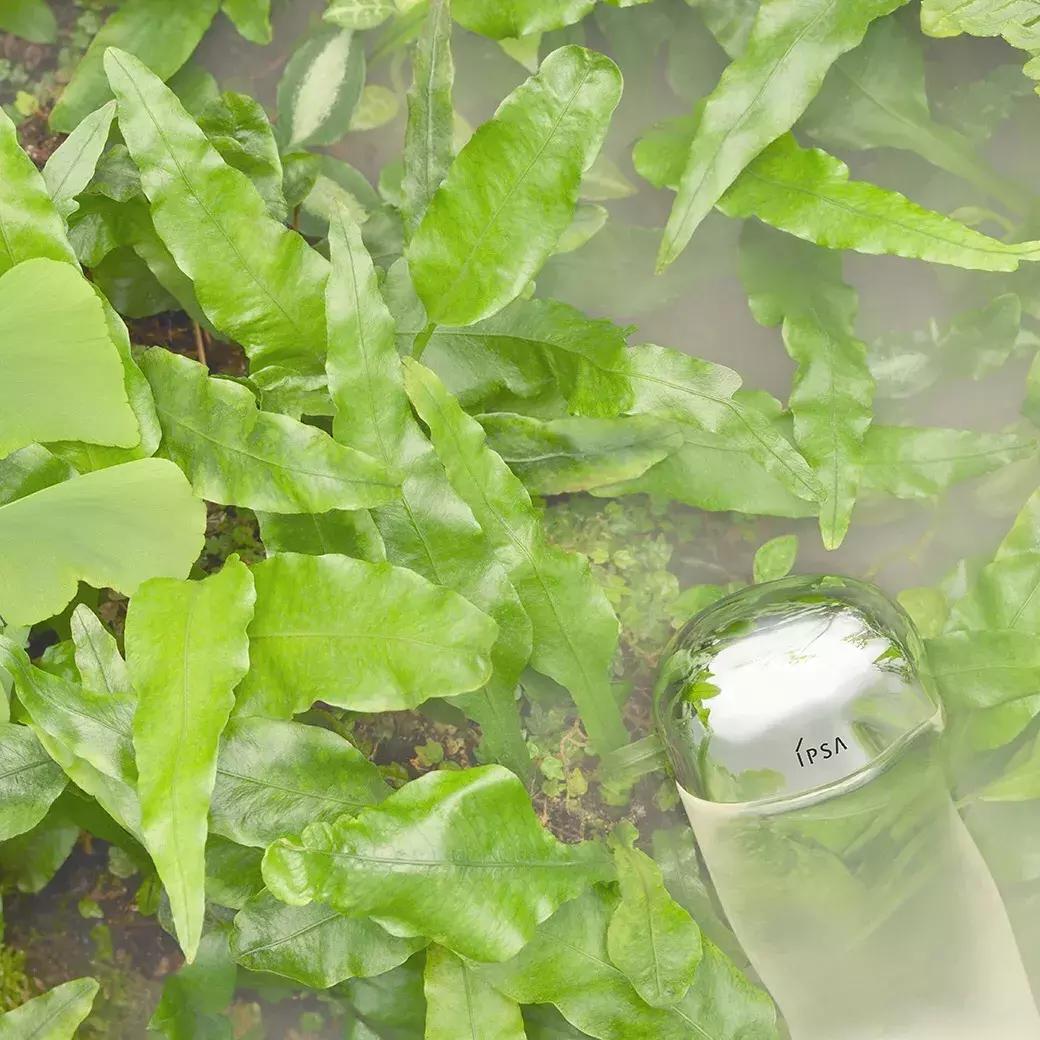 这些护肤品小众又高级,那些又丑又好用的护肤品