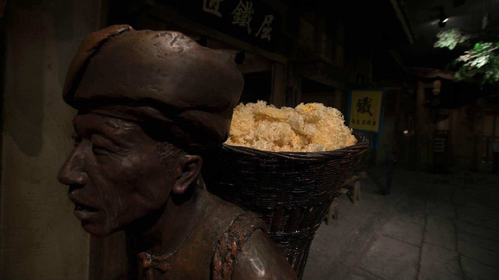 热点解读乡村振兴,通江乡村振兴