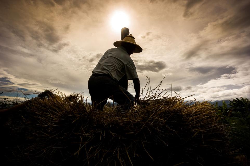 喝了百草枯最好的救治方法是什么,喝百草枯死亡率百分之几