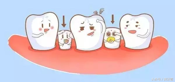 过早拔乳牙牙槽骨闭合,过早拔掉乳牙影响恒牙的生长吗