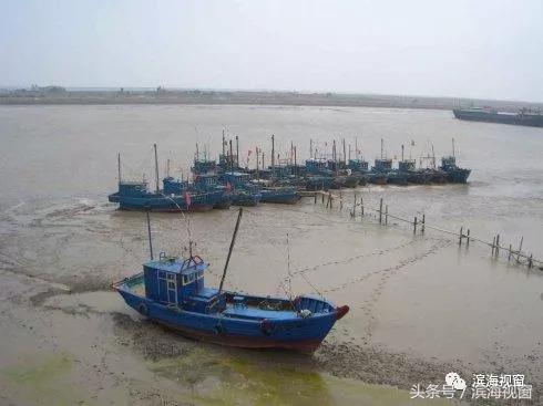 塘沽北塘海鲜哪里好吃,塘沽北塘海鲜哪家最好