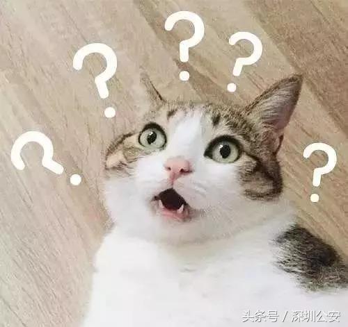 抖音爆红的“冰箱”酒吧引起了这帮人的关注……