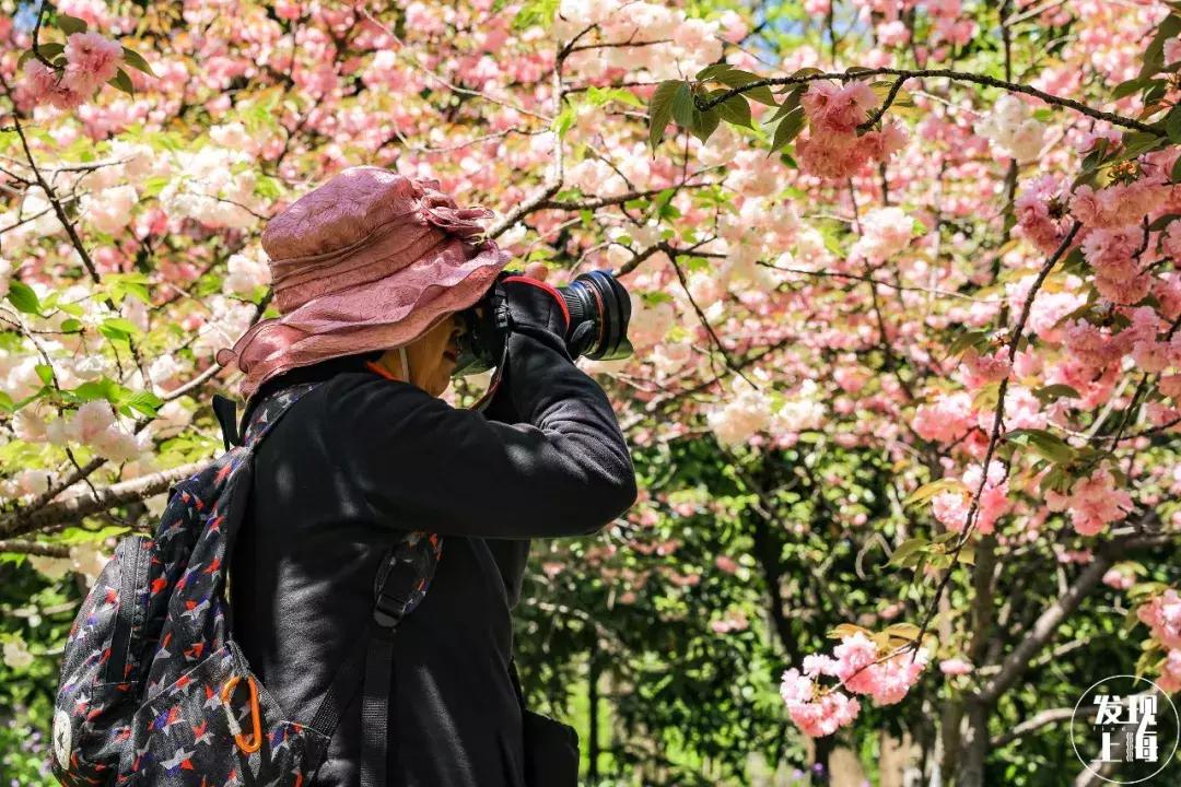 2021年上海迪士尼门票多少钱,上海迪士尼vip免排队门票价格