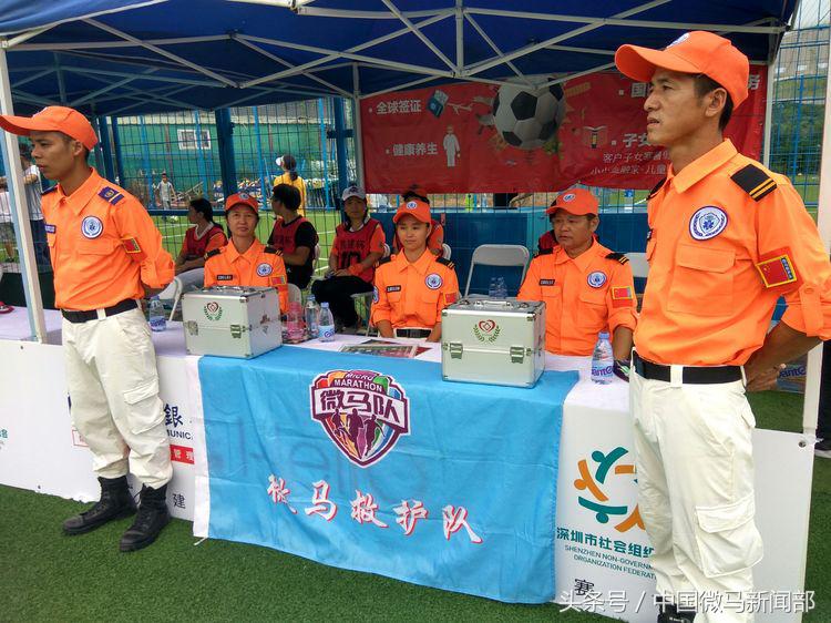 艳橙之花绽放绿茵