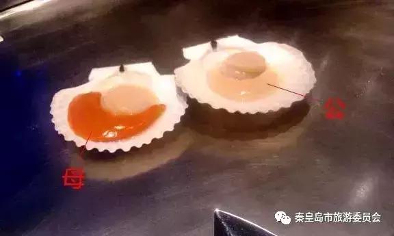 有一种炫富叫辽宁开海,在山东有一种炫富叫开海