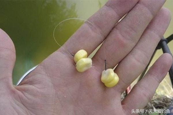 野钓小鱼闹窝最佳配方,野钓小鱼闹窝的三个妙招