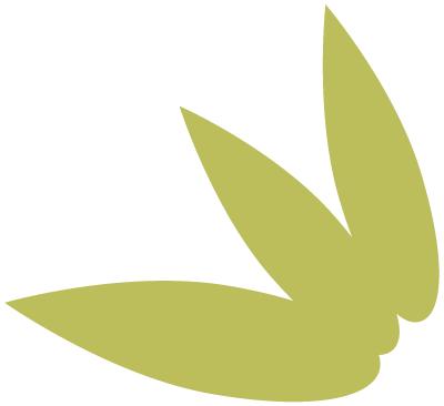 海关查获电子烟弹,东兴查获香烟