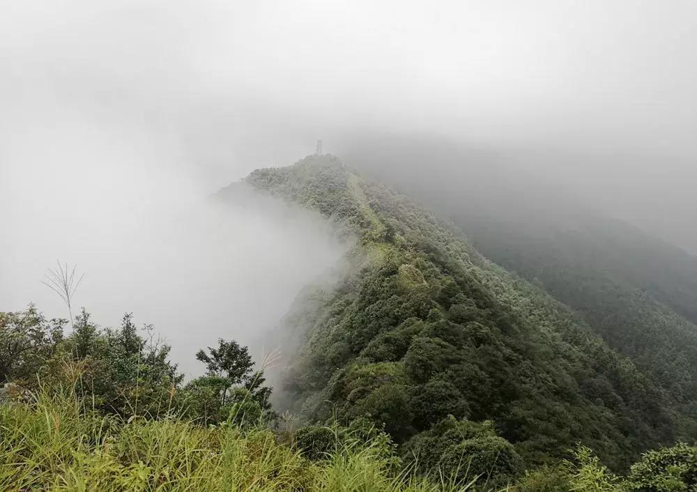 韭菜岭徒步招募,徒步韭菜岭