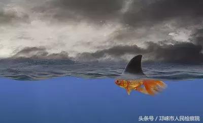 烟头说话视频,烟头啤酒瓶