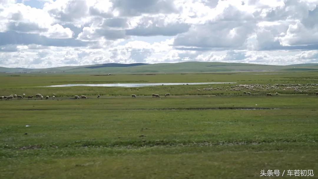 奇瑞汽车瑞虎8草原行,奇瑞瑞虎8与哈弗h6对比视频