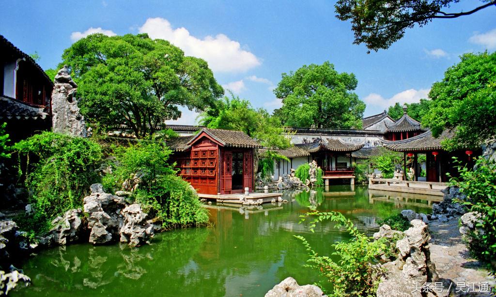 我的小学在线免费观看,我的小学在线播放