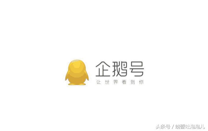 头条自媒体哪个好做,在头条自媒体平台哪个好