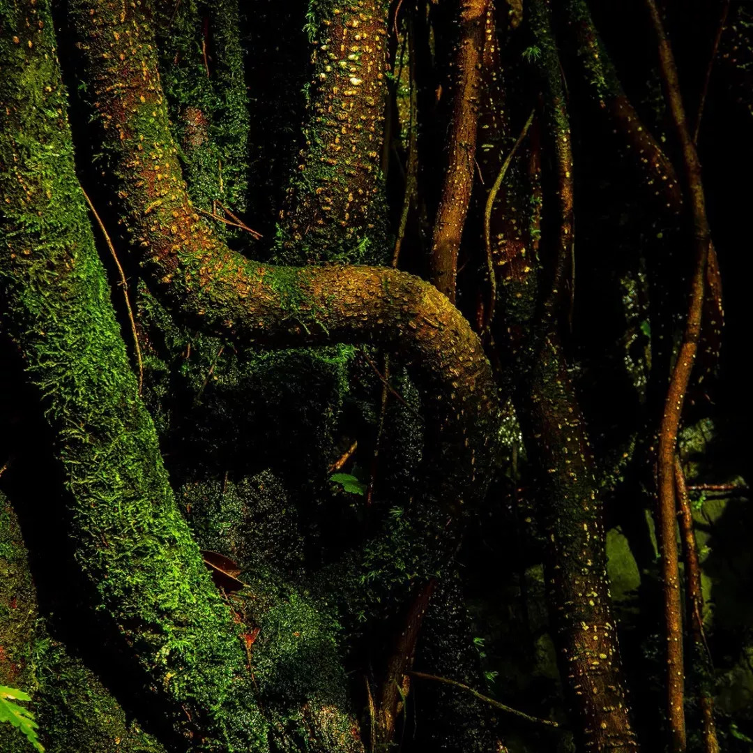 一去梵净，便懂了最美中国风