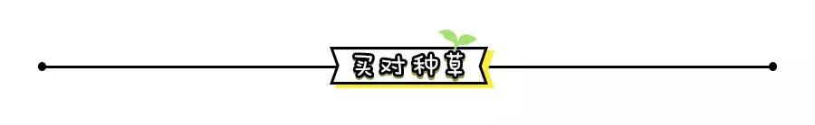ysl必须有的口红,口红ysl好还是阿玛尼好
