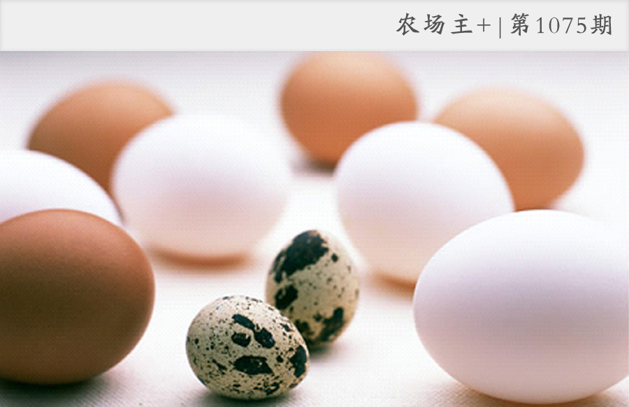 明星为明星打call视频,明星疯狂打call