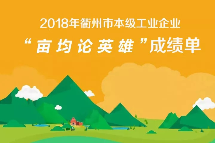 2023年衢州市制造业企业30强名单,衢州市企业百强