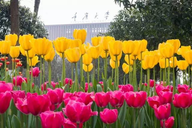 涓嶈礋闈掓槬涓嶈礋闊跺崕鐮ョ牶濂嬭繘,涓嶈礋鏃跺厜涓嶈礋闊跺崕鐮ョ牶鍓嶈