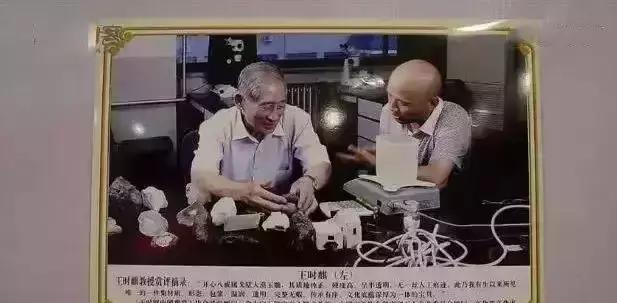 这头头猪火了！鹅蛋大小1亿3千9百万，翡翠第一个不服！