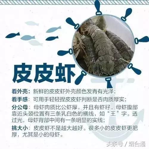 烟台开海现场直播视频,开海现场视频直播