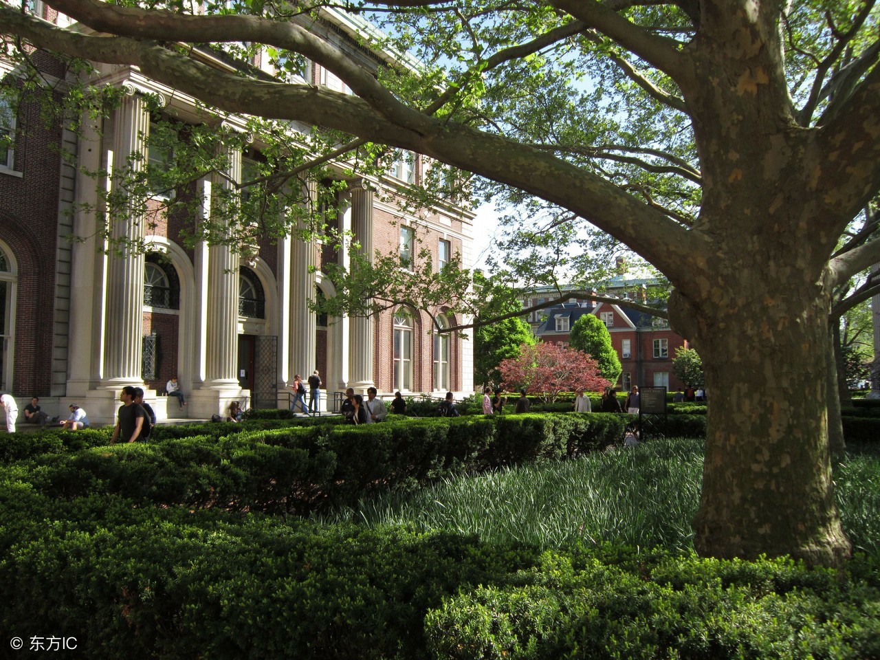 gpa过低是怎么回事,gpa低了怎么补救