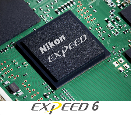 尼康z7腾龙150-500镜头评测,尼康z7ii画质评测