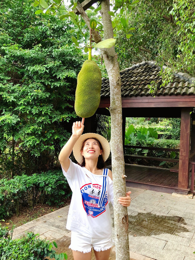 三亚旅游攻略自由行美食推荐,三亚旅游攻略自由行美食