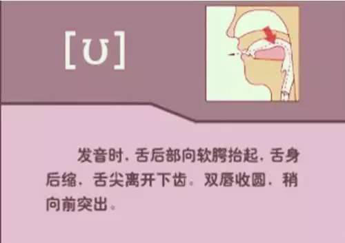 英语48个音标发音详细教程,英语48个音标的正确发音和技巧